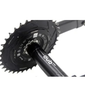 Kurbel und Kettenblatt mit Potentiometer Sram XXSL Eagle Spider